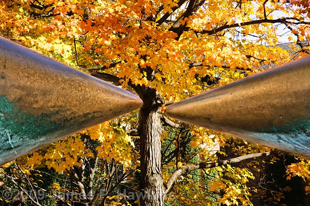 slides/CX102609_0002_5.jpg Buildings hawkins HDRI jim hawkins princeton u princeton university Churches Tree seen between Henry Moore